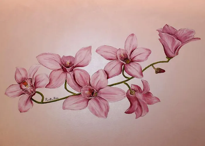 Il Quadrifoglio فندق مبيت وإفطار 4*